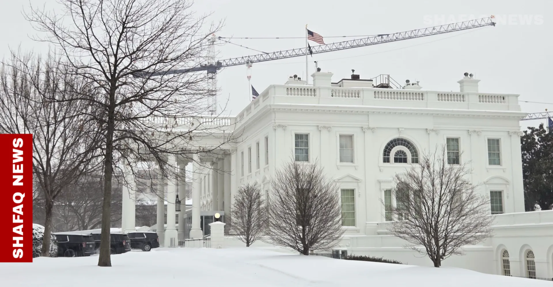 خاص.. الأبيض يريح واشنطن من الصخب ويرسم لوحة هادئة (فيديو+صور)