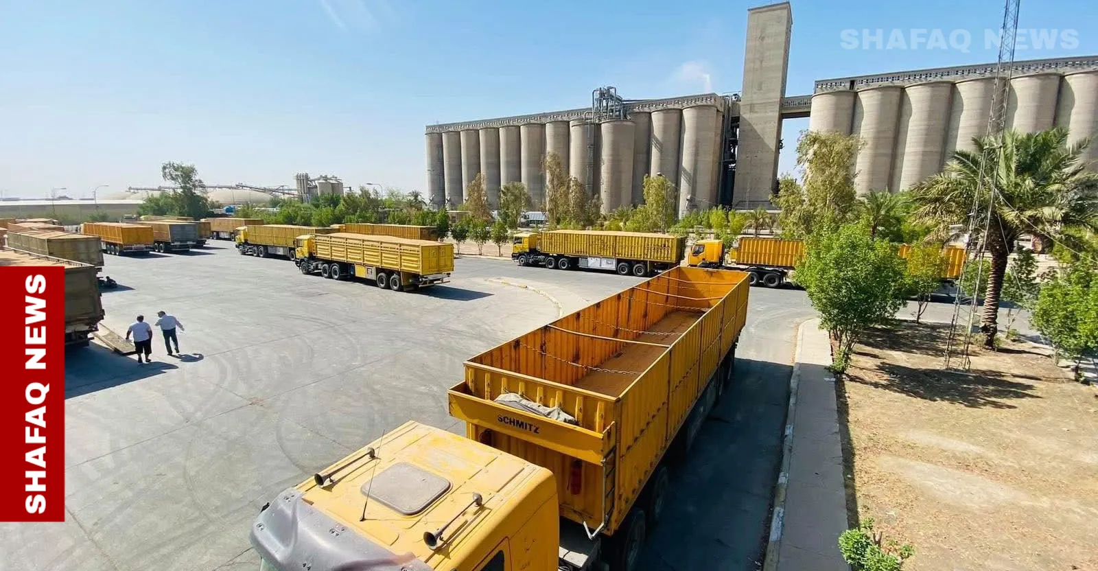 مخزون استراتيجي يطمئن العراقيين: الحنطة تكفي لعام كامل