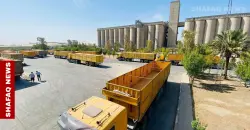 Iraqi wheat stock covers flour needs for a full year