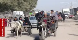 Gaza war knocks 70% of its vehicles off the roads