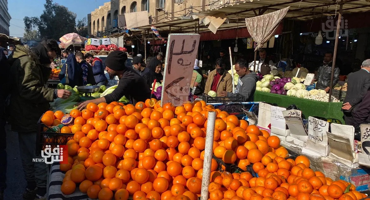 Iraq tops buyers of Turkish citrus in 2025