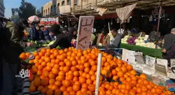 Iraq tops buyers of Turkish citrus in 2025