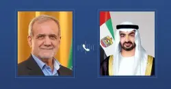 رئيسا الإمارات وإيران يشددان على الحلول الدبلوماسية وأمن المنطقة