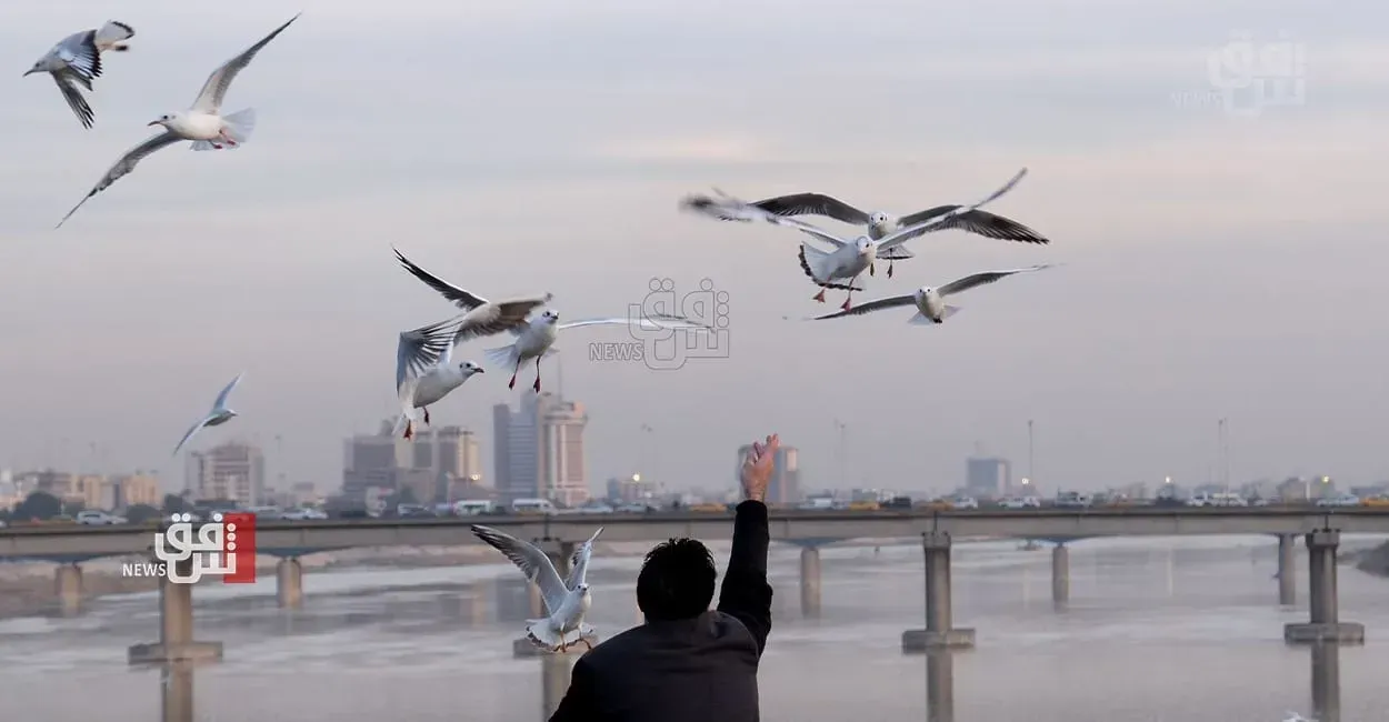 طقس السبت.. أمطار خفيفة ودفء نسبي في العراق