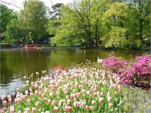 ‏دوو پارچە شیعر