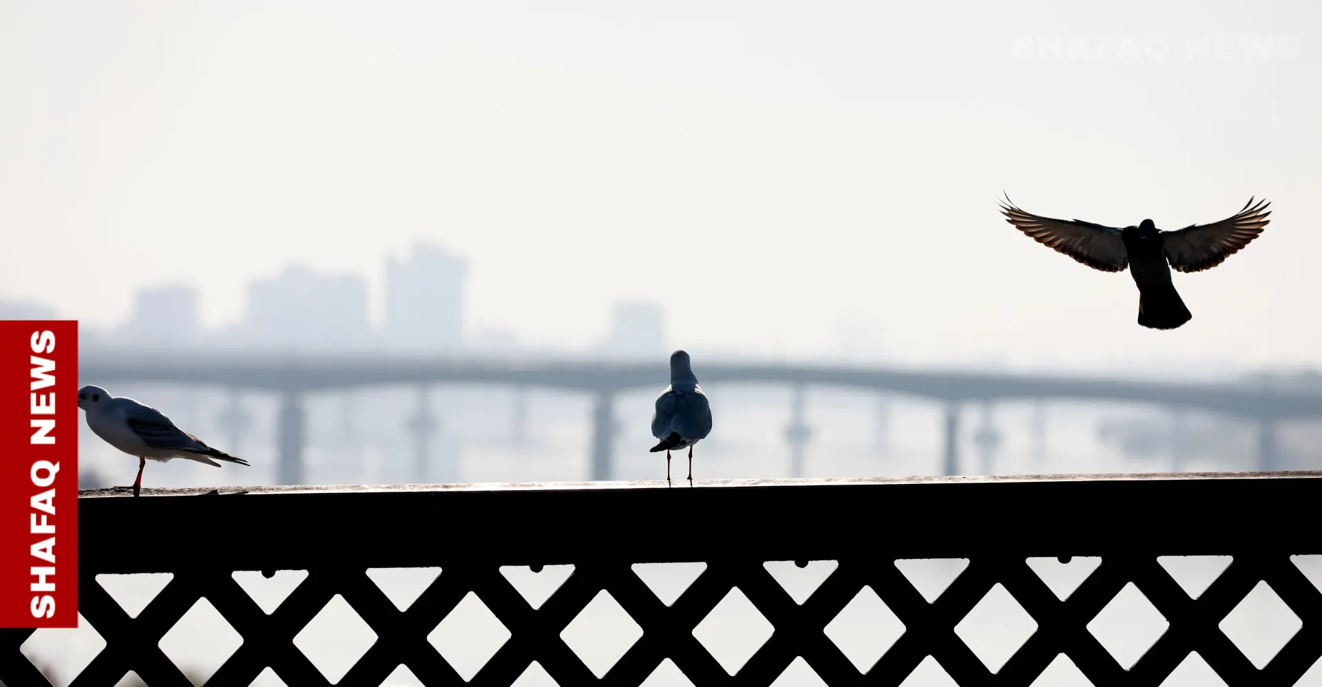 کەشوهەوای عراق ئەرا ئی چوار رووژ بانانە.. واران و داوەزیان پلەی گەرمی