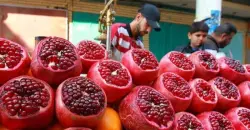 العراق الثاني باستيراد الرمان من تركيا