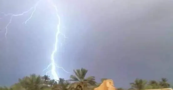 بەڵاچە ژنیگ لە باشوور عراق کوشێد شوانی پەس کەێد