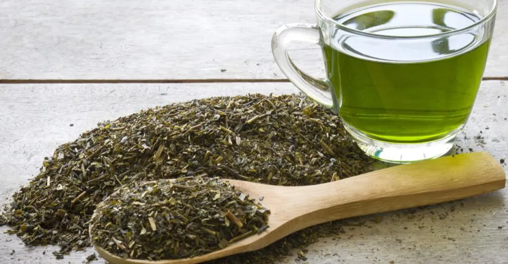 دراسة صينية: الشاي الأخضر سلاح طبيعي ضد الالتهابات والشيخوخة