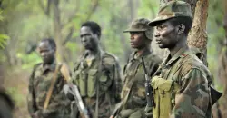 RSF kills 24+ civilians in North Kordofan attack on displaced families