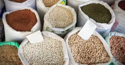 Baghdad leads Turkish grain exports at $100M+