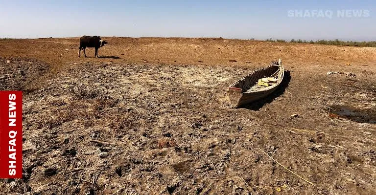 Iraq faces severe drought as water inflows decline
