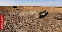 Iraq faces severe drought as water inflows decline
