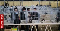 أسعار تصل لآلاف الدولارات.. أربيل تحتضن معرض الطيور السنوي (صور)