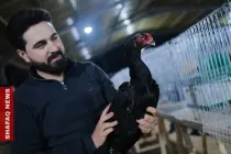 Erbil Bird Expo features rare species worth thousands