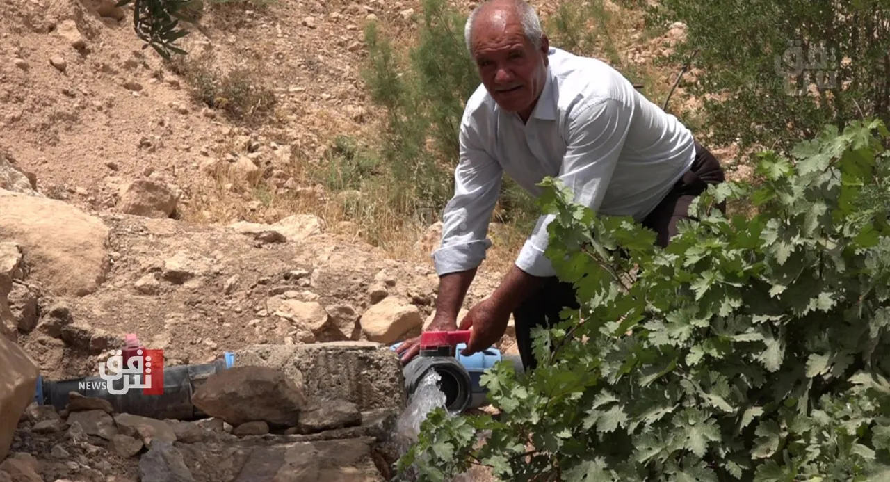 Kirkuk farmers struggle as government dues stall