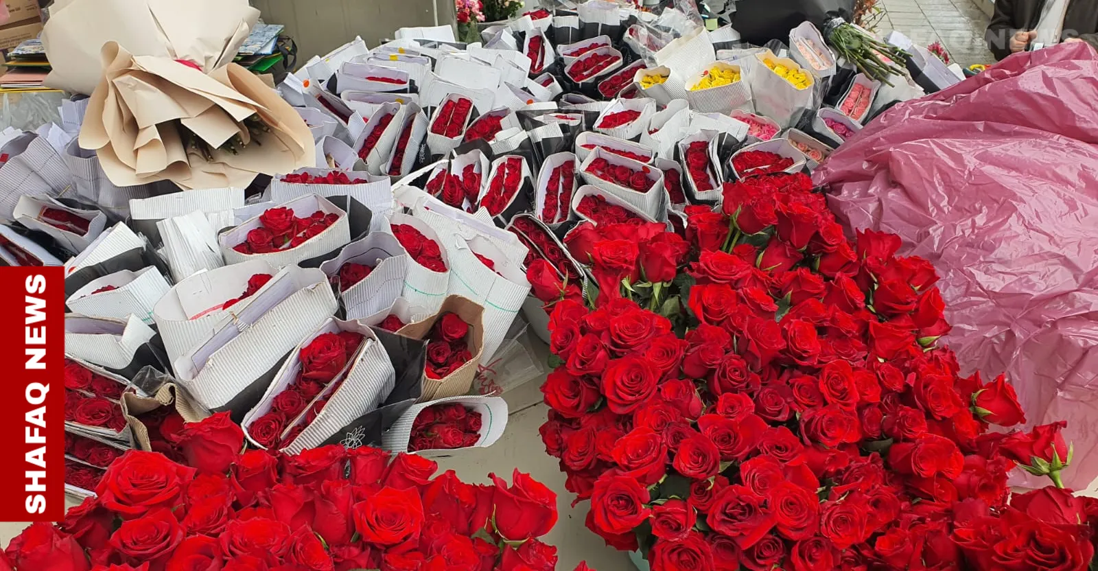 السليمانية تتوشّح بالأحمر.. نشاط كبير لمحالّ الورود وباقات سعرها "ملايين"
