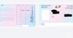 Iraqi Kurdistan launches digital driving license service