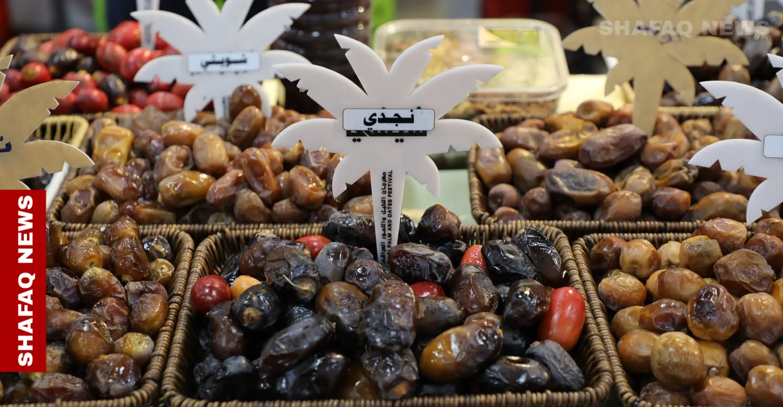 5 دول عربية تهيمن على إنتاج التمور عالمياً والعراق في الواجهة