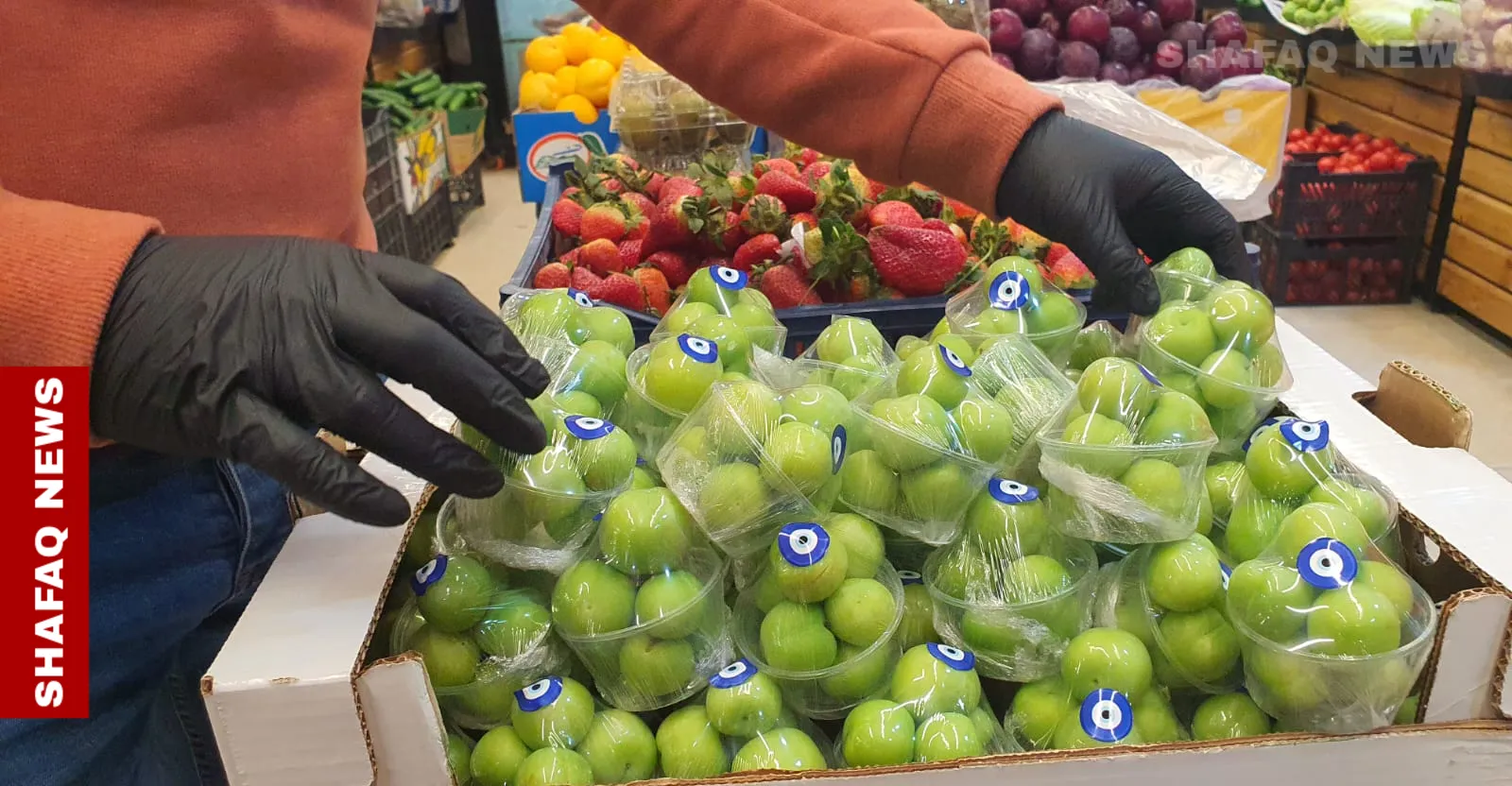 "الگوجه" تصل أسواق السليمانية بسعر 750 ألف دينار للكيلو (صور)