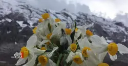 نرجس إيلام.. "عبير" الاستثمار والتصدير يفوح في أرجاء المدينة