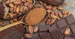 Iraq second among Turkish Cocoa importers in 2025