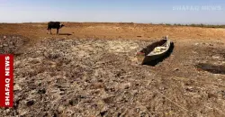 Dhi Qar: Iraq water crisis has displaced 60,000 people