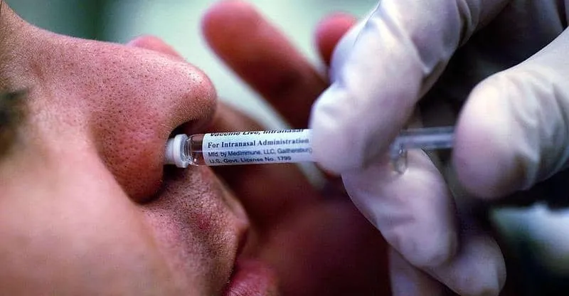 تطوير لقاح أنفي يعزز مناعة الرئة ضد الفيروسات والبكتيريا والحساسية