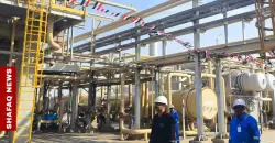 Basrah crudes fall despite global gains