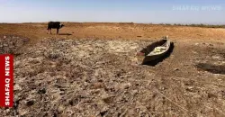 حقوق الإنسان بالبصرة: حلول أزمة المياه ترقيعية ونطالب بموعد محدد لنصب محطات التحلية