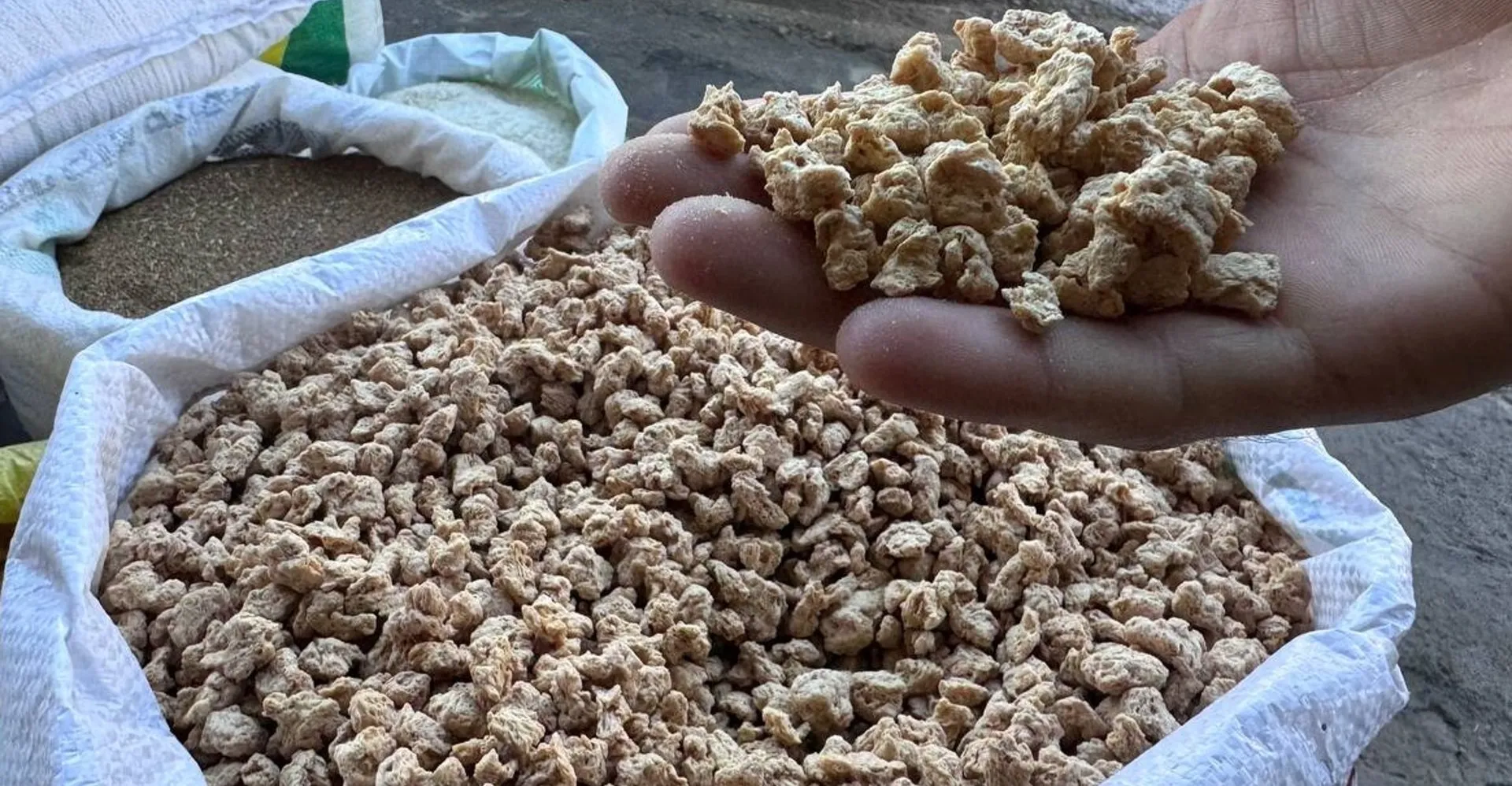 العراق يعزز وارداته من فول الصويا البرازيلي رغم اضطرابات الشرق الأوسط