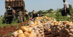 بينها العراق.. سوريا تتطلع لدول المنطقة وتنسيق حقيقي لتعزيز الأمن الغذائي