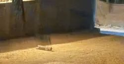 سقوط "بقايا صاروخ" جنوب بابل.. فيديو