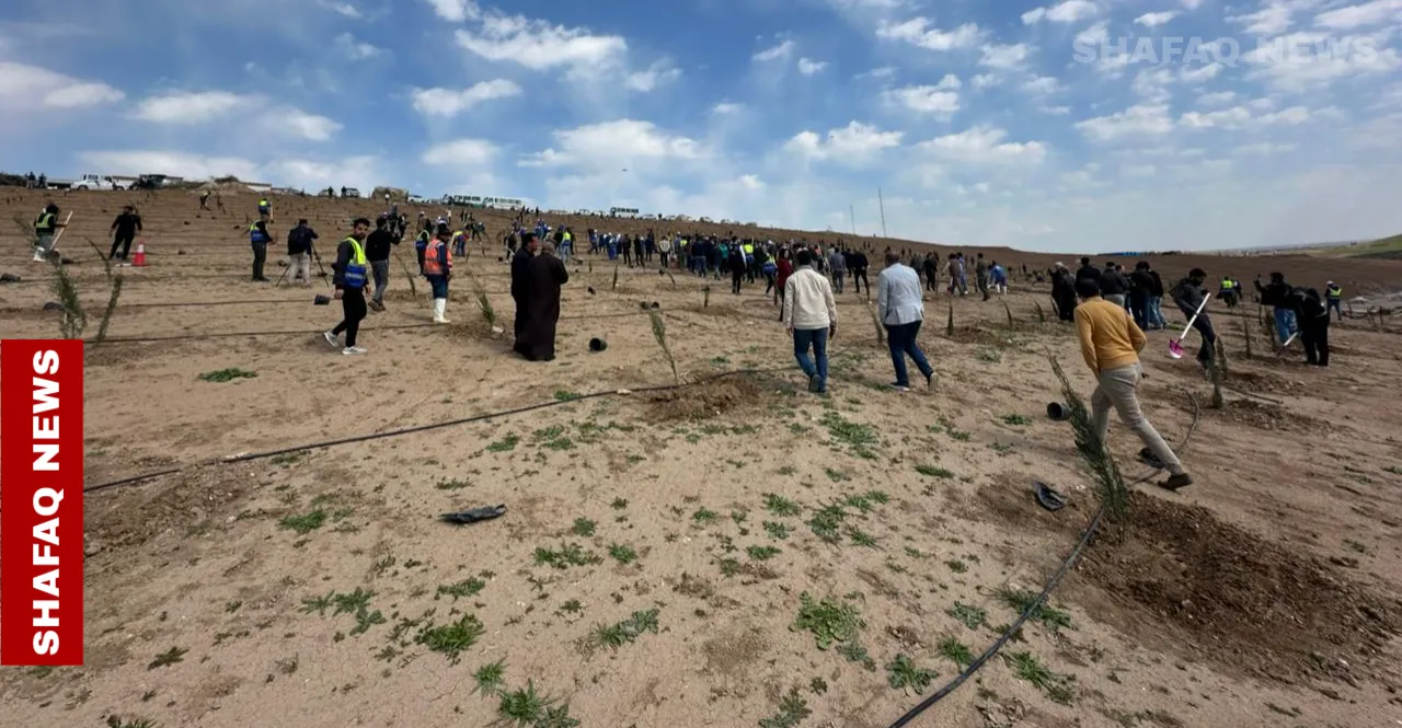 بعد 70 عاماً من المشروع الأول.. المباشرة بإنشاء غابة في "أيمن الموصل"