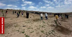 بعد 70 عاماً من المشروع الأول.. المباشرة بإنشاء غابة في "أيمن الموصل"