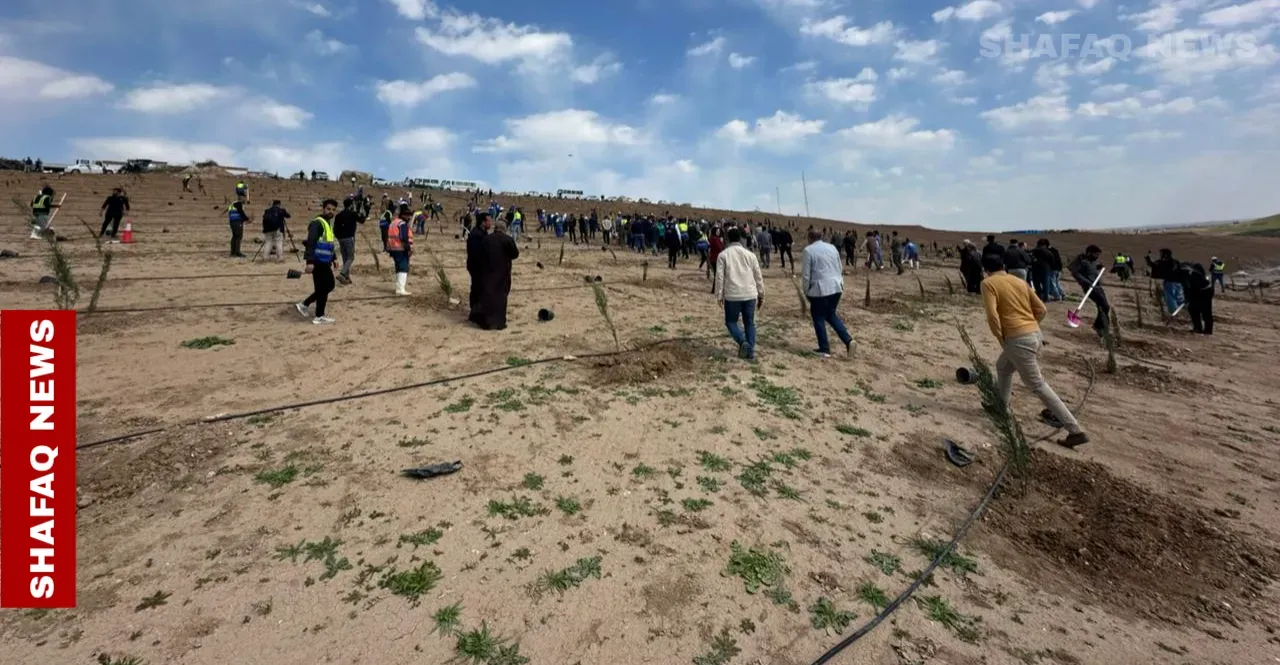 Mosul launches first forest project on city’s west side in over 70 years