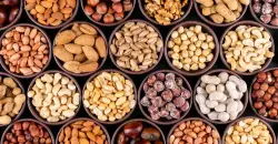 Iraq tops $30M in US nut imports in 2025