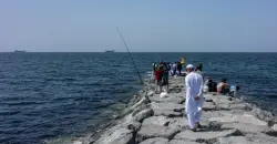 صحيفة اميركية: دول الخليج تحذر واشنطن من "انتقام ايراني"