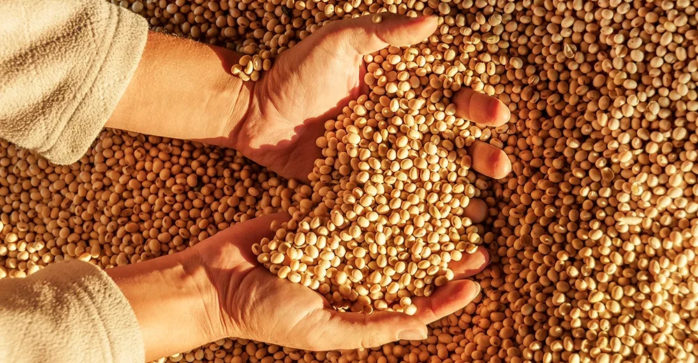 بالأرقام.. العراق يستورد مواد غذائية من أمريكا بـ140 مليون دولار في 2025