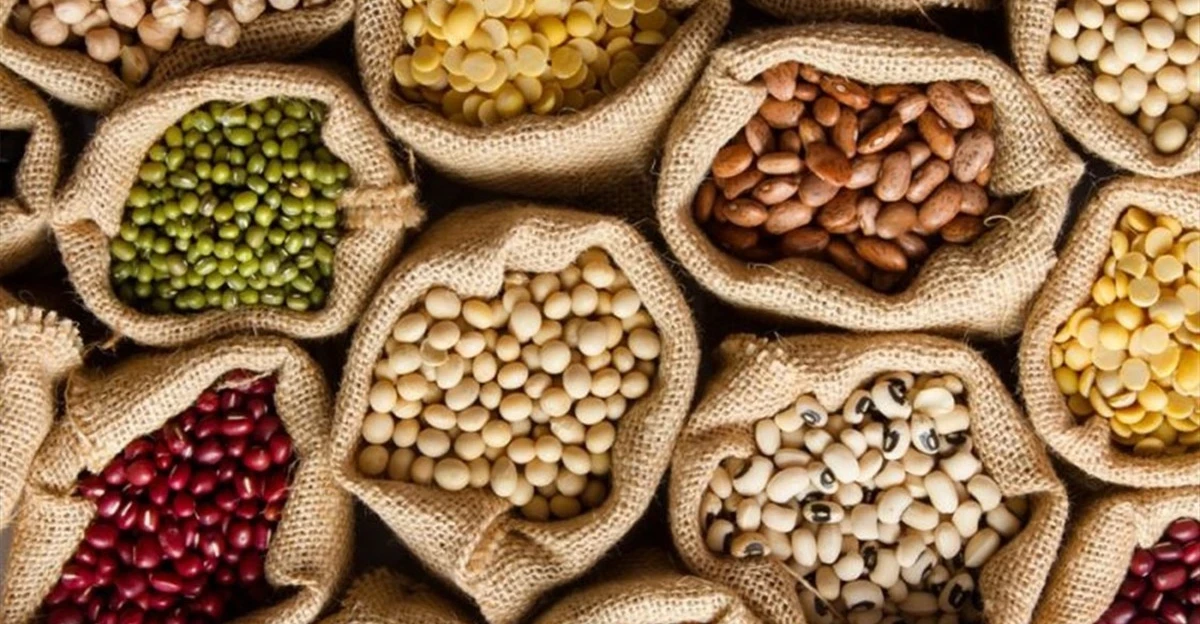 Iraq emerges as second-largest market for Turkiye's cereals and oils