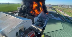 Three drones hit Castrol warehouses near Erbil