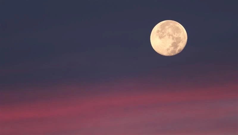 ‏ئمشەو مانگ پەمەیی دەرکەفێد