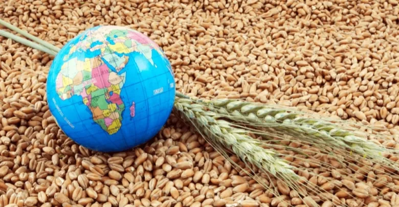 إنذار دولي.. حرب الشرق الأوسط تهدد الغذاء عالمياً وترفع الأسعار