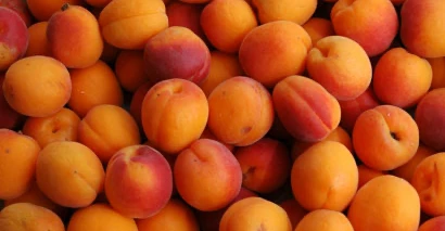 العراق بين أكبر مستوردي المشمش حول العالم