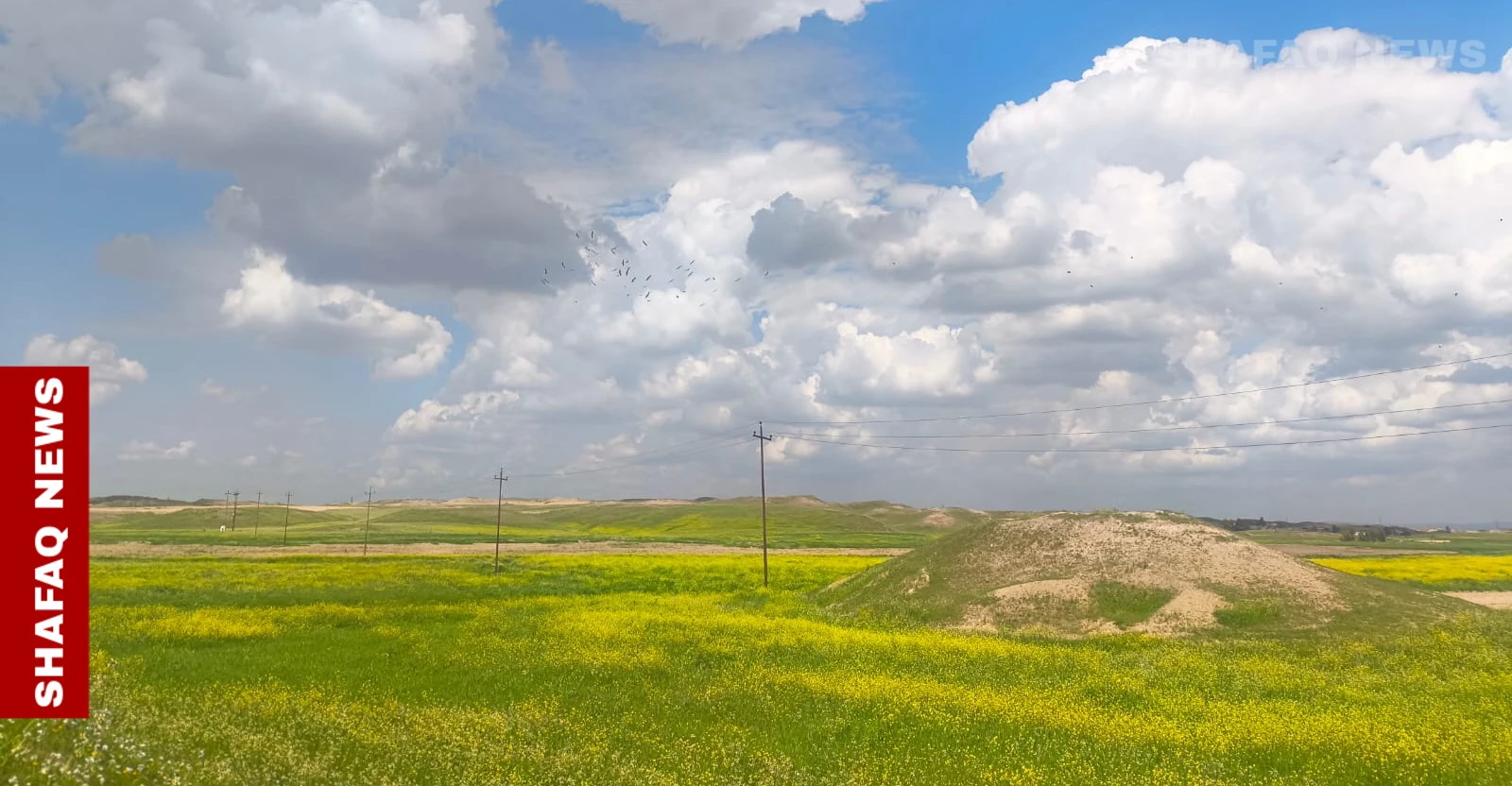 بالأرقام.. خريطة الأمطار في كركوك خلال 24 ساعة: شوان في الصدارة والزاب أخيراً