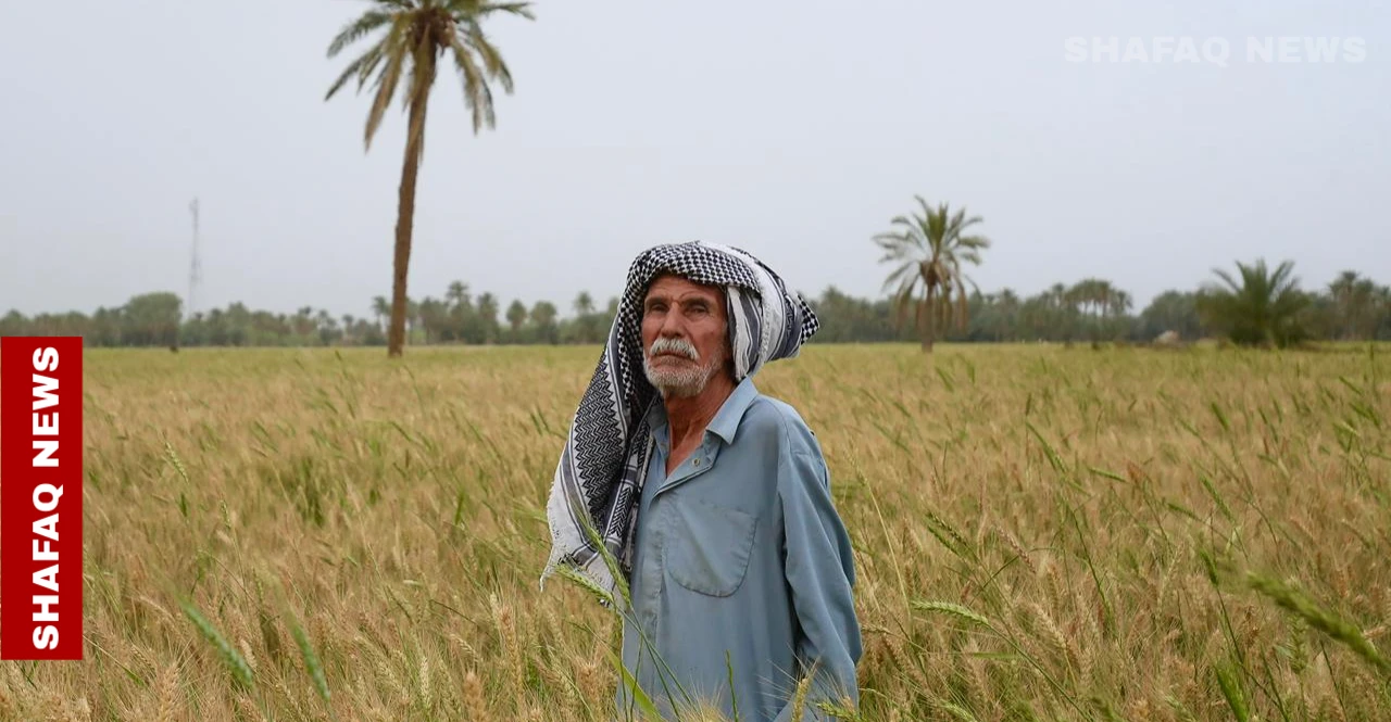 "لن أبيع ترابها".. فلاح نجفي يواجه الجفاف بالإصرار (صور)