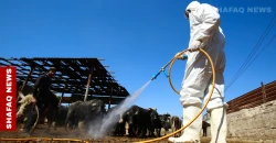 Iraq’s Dhi Qar detects 9 new CCHF infections