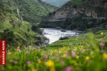 Kurdistan's border mountains bloom as spring tourism season opens