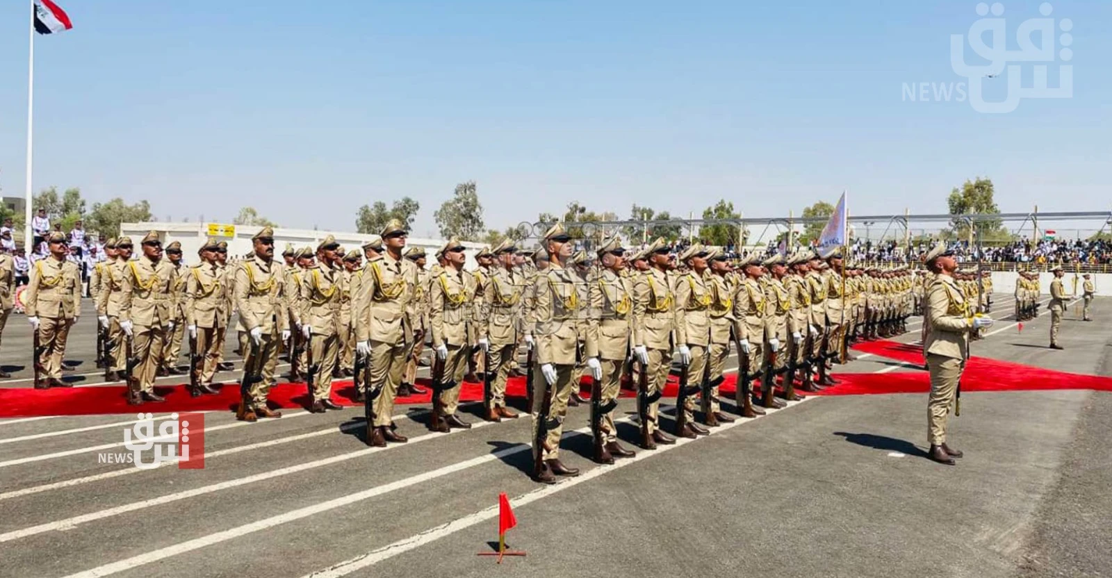 برلمانية: "خدمة العلم" لا تصنع اقتصاداً.. وقد تربك الدراسة والعمل