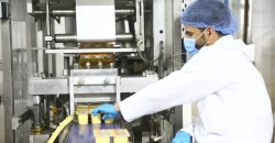 Iraq targets unemployment reduction via farm, industry push